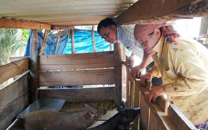 Gia Lai ứng dụng c&ocirc;ng nghệ số mở rộng thị trường cho n&ocirc;ng sản- Ảnh 4.