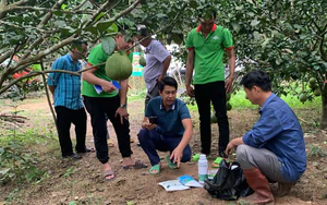KH&CN tạo đ&ograve;n bẩy ph&aacute;t triển n&ocirc;ng th&ocirc;n, miền n&uacute;i tại Bắc Ninh - Ảnh 6.