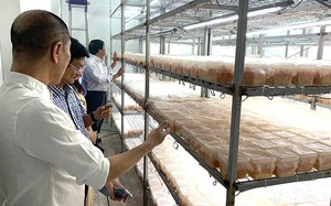 KH&CN mở đường n&acirc;ng gi&aacute; trị sinh kế v&ugrave;ng d&acirc;n tộc thiểu số Vĩnh Long- Ảnh 6.