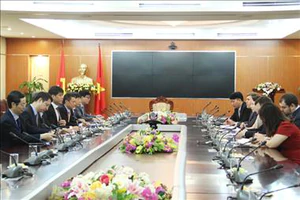 Việt Nam - Nga trao đổi kinh nghiệm về chuyển đổi số- Ảnh 11.
