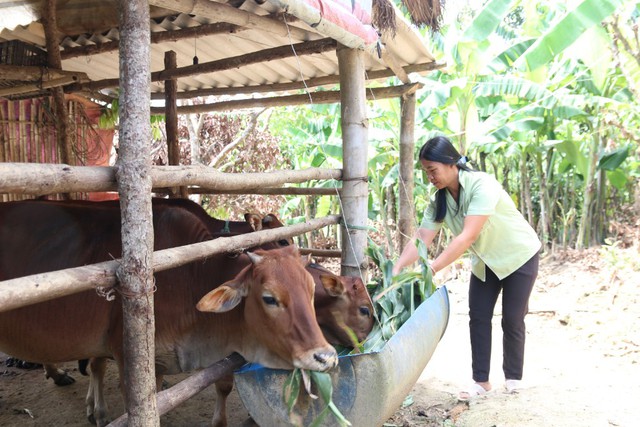 “Chìa khóa” giảm nghèo bền vững - Ảnh 1.