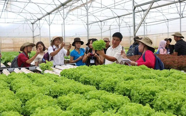 Ninh Bình khẳng định vị thế tiên phong trong xây dựng nông thôn mới - Ảnh 3.