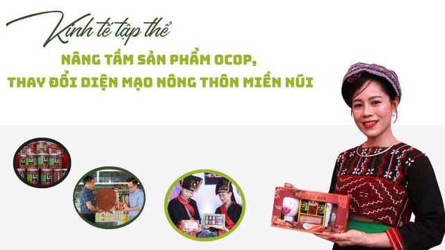 Lào Cai bứt phá từ Chương trình OCOP: Lan tỏa giá trị nông thôn mới, hướng tới kinh tế xanh và đô thị sinh thái- Ảnh 1.