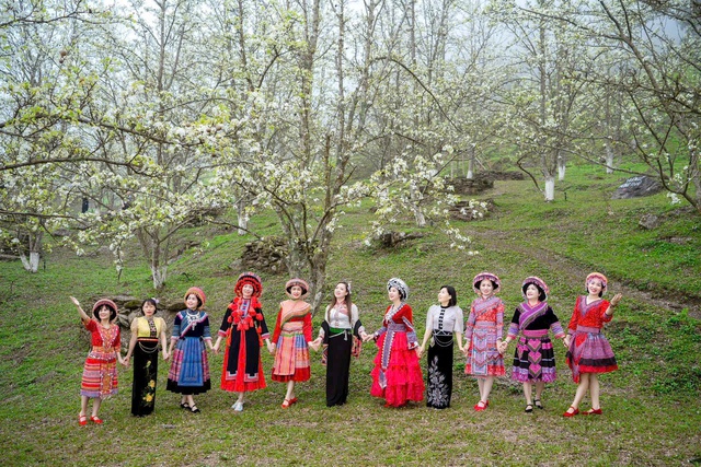 Nông thôn mới Tuyên Quang: Từ OCOP đến nông dân số- Ảnh 3.