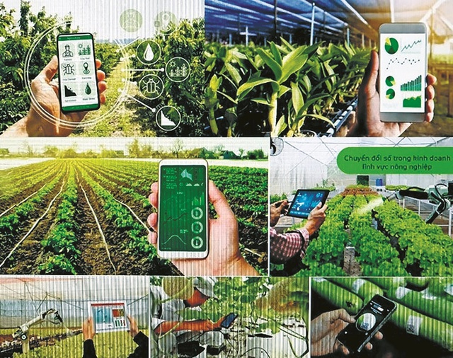 Hợp tác xã điện tử: Bước tiến quan trọng giúp kinh tế tập thể chuyển đổi số và thúc đẩy giảm nghèo bền vững- Ảnh 1.