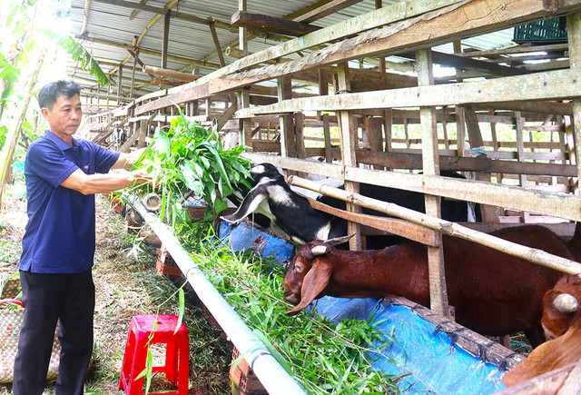 Vĩnh Long chuyển mình mạnh mẽ: Giảm nghèo bền vững nhờ nông nghiệp công nghệ cao  - Ảnh 1.