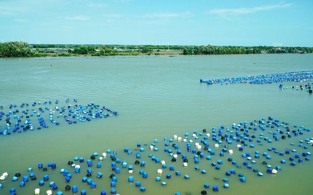 Vĩnh Long: Hướng giảm nghèo mới từ năng lượng tái tạo và kinh tế biển - Ảnh 1.