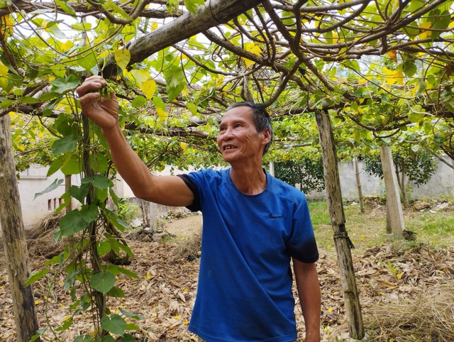 Phát triển kinh tế – nền tảng vững chắc cho xây dựng nông thôn mới nâng cao - Ảnh 1.