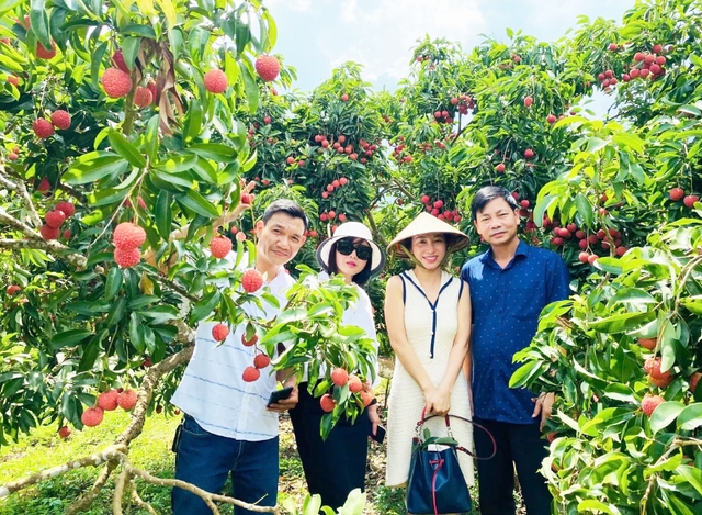 OCOP và du lịch nông thôn mở hướng phát triển mới cho kinh tế địa phương- Ảnh 1. OCOP và du lịch nông thôn mở hướng phát triển mới cho kinh tế địa phương- Ảnh 1.