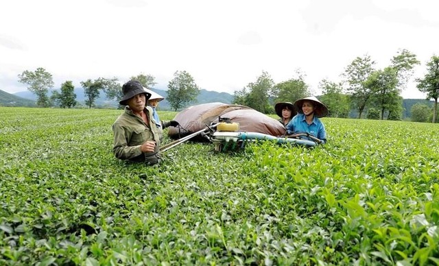 Phú Thọ đẩy mạnh ứng dụng khoa học công nghệ phát triển nông nghiệp xanh - Ảnh 2.
