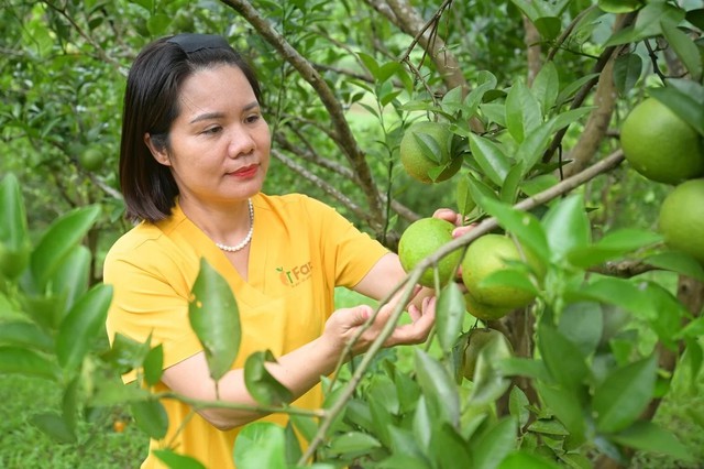 Phú Thọ đẩy mạnh ứng dụng khoa học công nghệ phát triển nông nghiệp xanh - Ảnh 1.