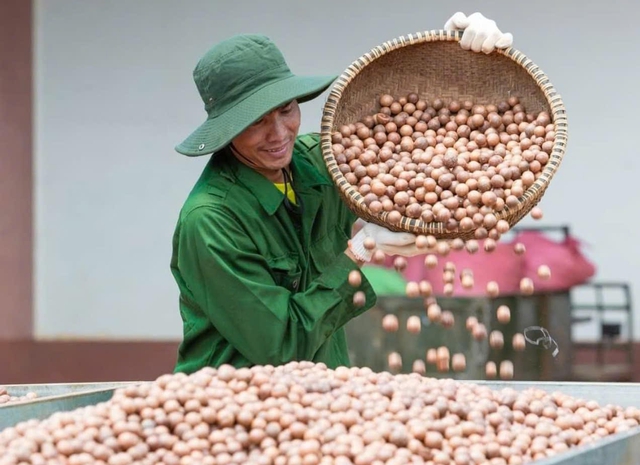OCOP Đắk Lắk: Đưa đặc sản bản địa vươn tầm quốc tế - Ảnh 2.