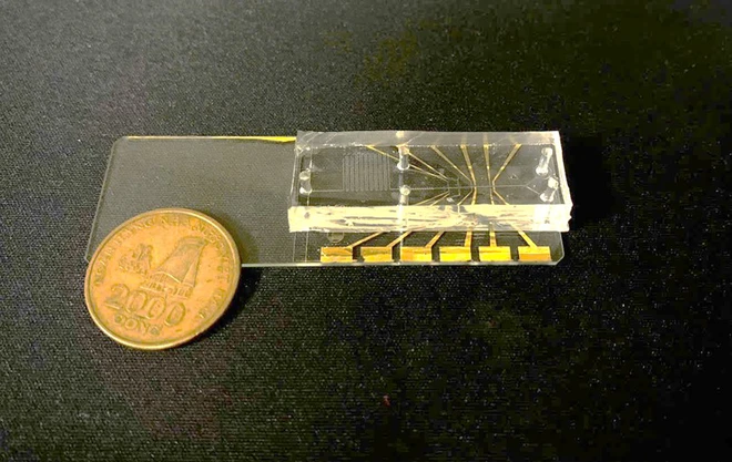 Nghiệm thu nhiệm vụ KH&CN cấp quốc gia, mã số ĐTĐL.CN-40/23 - Ảnh 2.