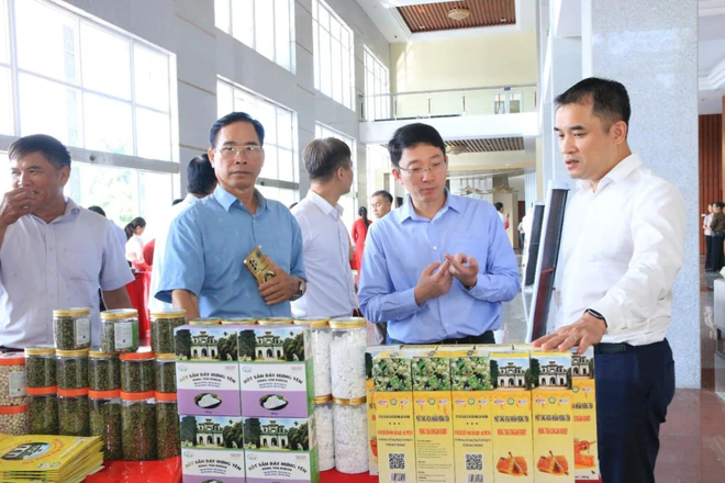 Hưng Y&ecirc;n mở rộng chỉ dẫn địa l&yacute; cho sản phẩm nh&atilde;n lồng- Ảnh 10.