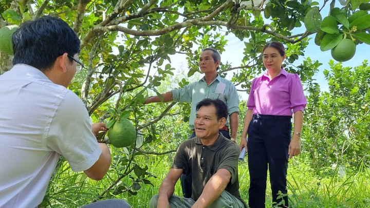 Truyền thông giảm nghèo bền vững  - Ảnh 1.