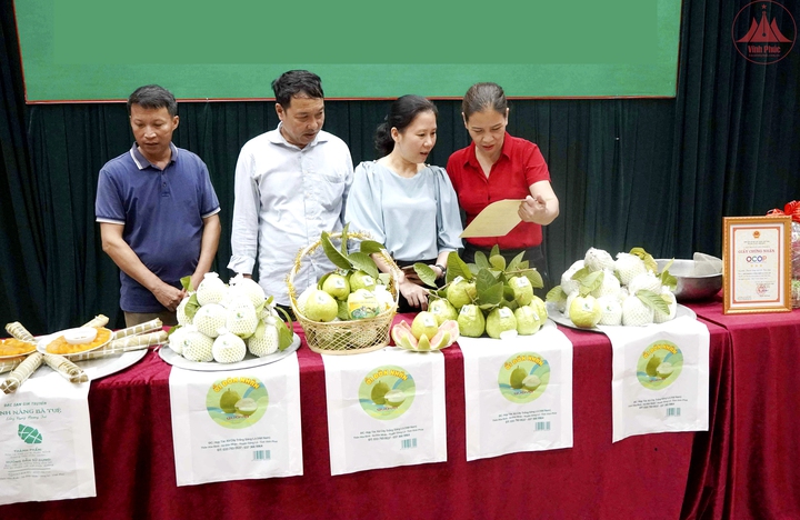 Huyện Sông Lô: Đẩy mạnh ứng dụng công nghệ thông tin - Ảnh 1.