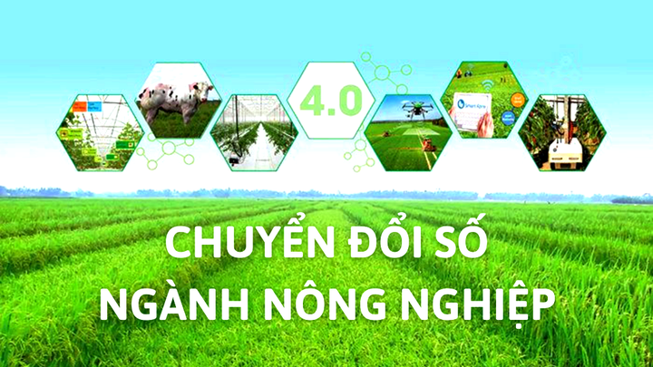 Mạng Nh&agrave; N&ocirc;ng - Giải ph&aacute;p chuyển đổi số v&agrave; hỗ trợ người n&ocirc;ng d&acirc;n Việt Nam - Ảnh 1.