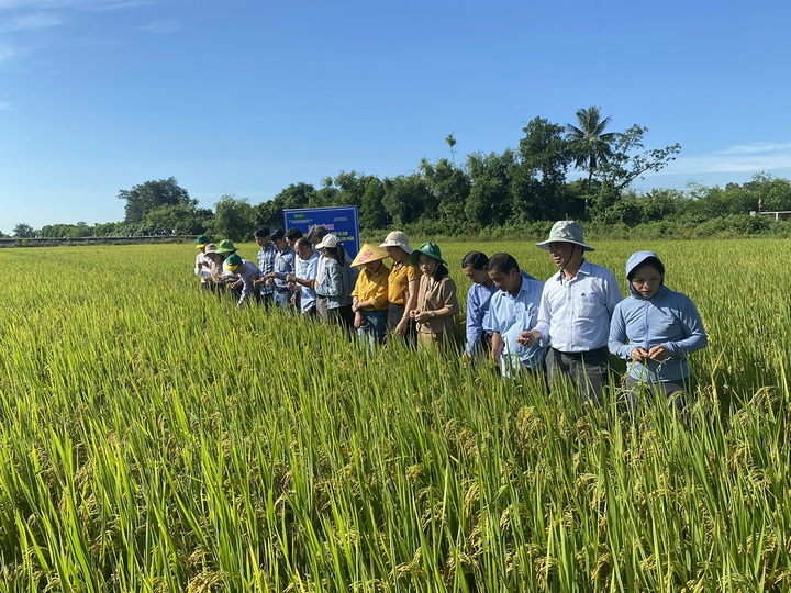 Ch&uacute; trọng truyền th&ocirc;ng gắn với chuyển đổi số cho n&ocirc;ng d&acirc;n - Ảnh 1.