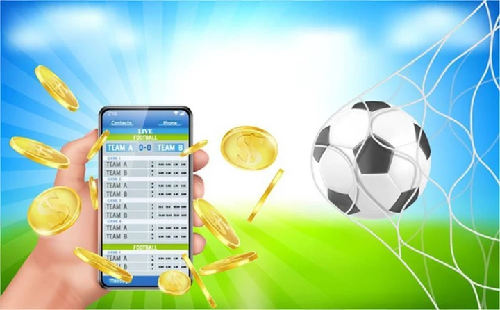 Cảnh báo tội phạm tổ chức đánh bạc dưới hình thức cá độ bóng đá mùa EURO 2024- Ảnh 1.