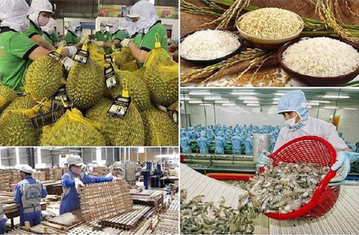 Ch&uacute; trọng x&acirc;y dựng, ph&aacute;t triển hệ sinh th&aacute;i xuất khẩu trực tuyến cho h&agrave;ng Việt - Ảnh 1.