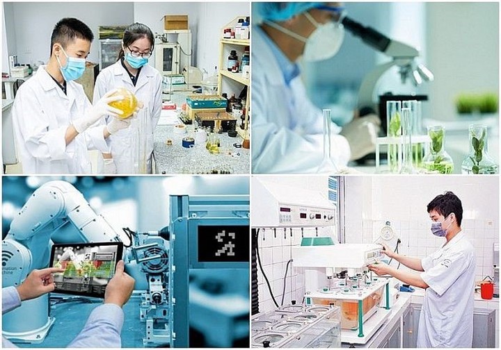 Thành lập Ban Chỉ đạo về phát triển khoa học, công nghệ, đổi mới sáng tạo, chuyển đổi số và Đề án 06 - Ảnh 1.