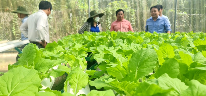 Sở Khoa học và Công nghệ tỉnh An Giang và Kiên Giang thống nhất phương án chuẩn bị hợp nhất - Ảnh 1.