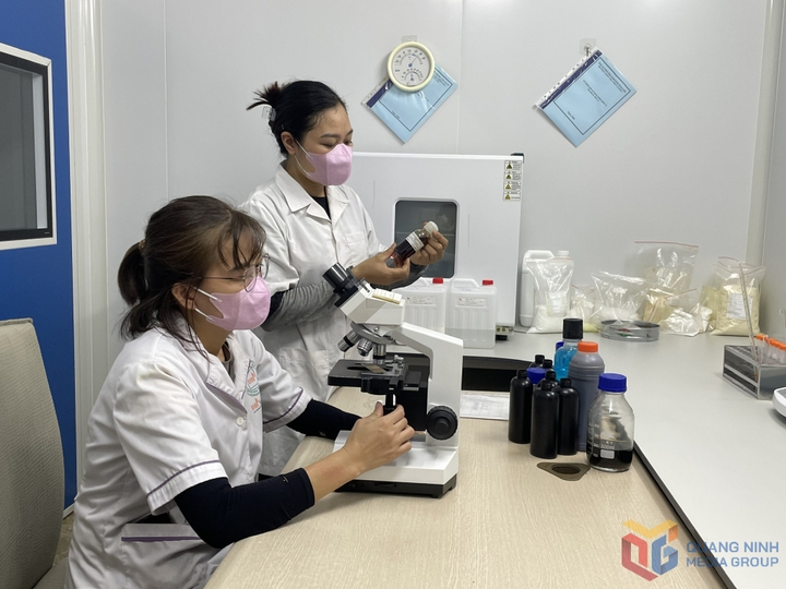 Sở KH&CN Quảng Ninh làm việc với Cục Viễn thông – Bộ KH&CN nhằm tháo gỡ vướng mắc về hạ tầng viễn thông và chuyển đổi số - Ảnh 1.