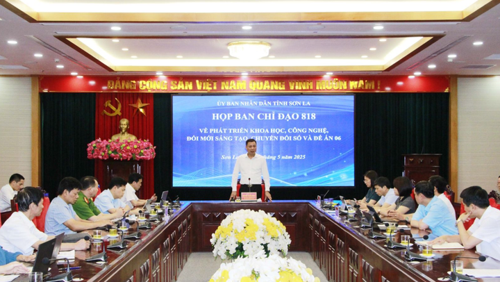 Họp Ban chỉ đạo 818 về phát triển khoa học, công nghệ đổi mới sáng tạo, chuyển đổi số và Đề án 06 - Ảnh 1.