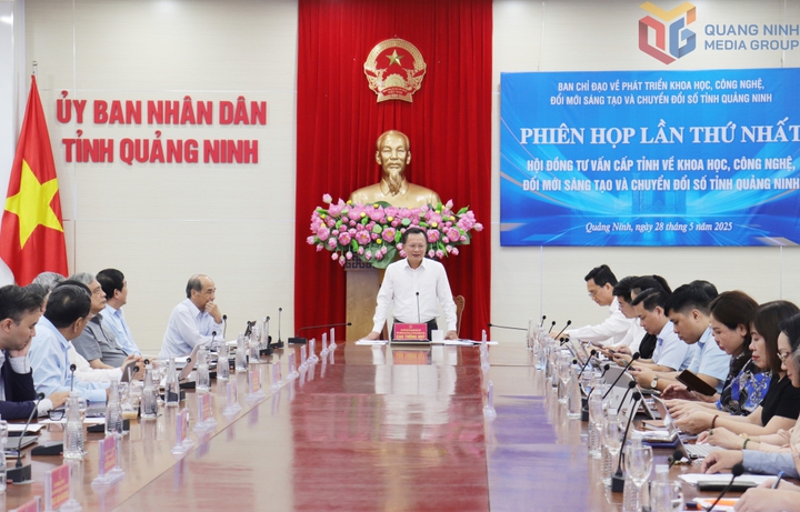 Hội đồng tư vấn cấp tỉnh về Khoa học, Công nghệ, Đổi mới Sáng tạo và Chuyển đổi số tỉnh Quảng Ninh - Ảnh 1.