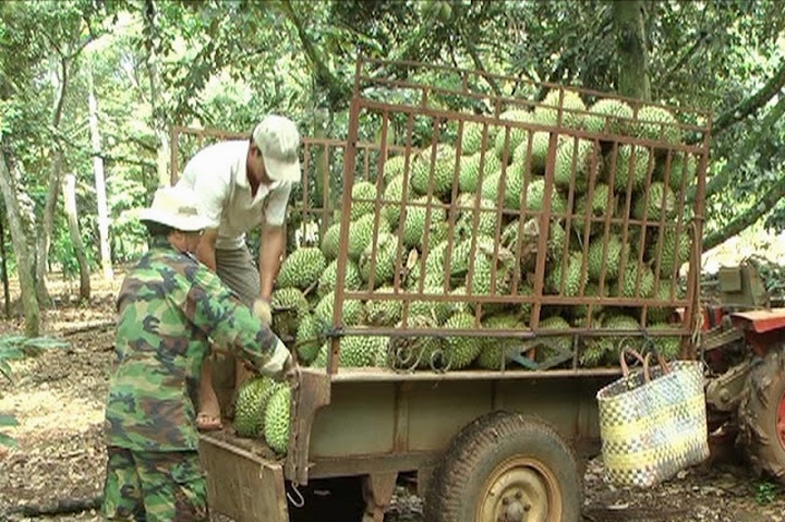 Đồng Nai kiến tạo nông thôn mới bằng khoa học công nghệ và chuyển đổi số- Ảnh 1. Đồng Nai kiến tạo nông thôn mới bằng khoa học công nghệ và chuyển đổi số- Ảnh 1.