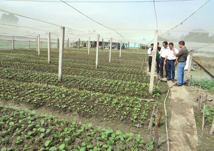 Long An tăng tốc chuyển đổi số nông nghiệp- Ảnh 1. Long An tăng tốc chuyển đổi số nông nghiệp- Ảnh 1.