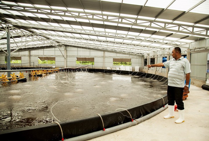 Bến Tre: Xây dựng nông thôn mới từ nền tảng khoa học, công nghệ và đổi mới sáng tạo- Ảnh 1. Bến Tre: Xây dựng nông thôn mới từ nền tảng khoa học, công nghệ và đổi mới sáng tạo- Ảnh 1.