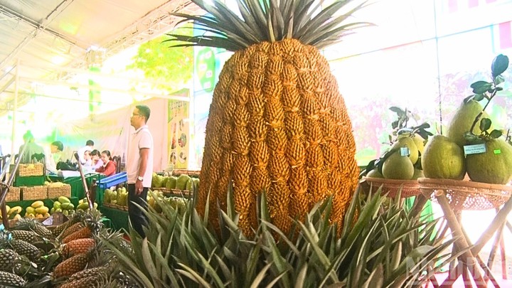 Cần Thơ: Nông thôn mới bứt phá nhờ khoa học công nghệ, chuyển đổi số và nông nghiệp thông minh- Ảnh 1. Cần Thơ: Nông thôn mới bứt phá nhờ khoa học công nghệ, chuyển đổi số và nông nghiệp thông minh- Ảnh 1.