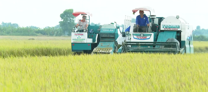 Cần Thơ: Hướng tới nông thôn mới thông minh, xanh và bền vững- Ảnh 2. Cần Thơ: Hướng tới nông thôn mới thông minh, xanh và bền vững- Ảnh 2.
