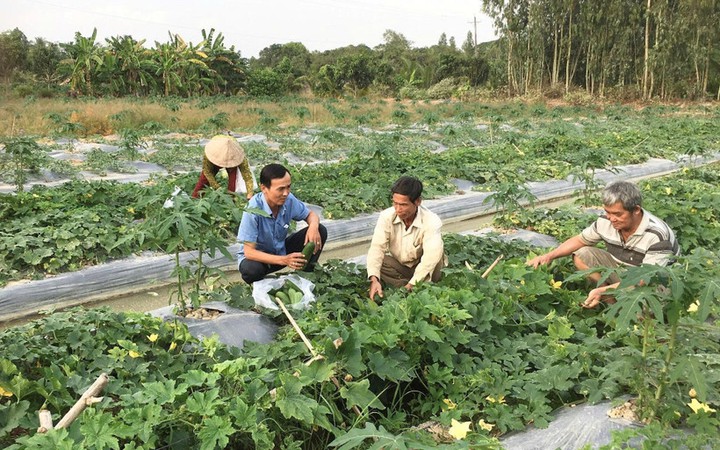 Cần Thơ: Hướng tới nông thôn mới thông minh, xanh và bền vững- Ảnh 1. Cần Thơ: Hướng tới nông thôn mới thông minh, xanh và bền vững- Ảnh 1.