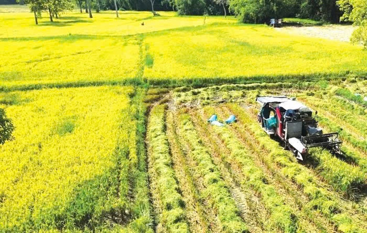 Đồng Nai: Xây dựng nông thôn mới bằng sức mạnh của khoa học công nghệ và chuyển đổi số- Ảnh 1. Đồng Nai: Xây dựng nông thôn mới bằng sức mạnh của khoa học công nghệ và chuyển đổi số- Ảnh 1.