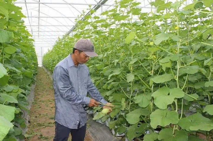 Đồng Nai: Xây dựng nông thôn mới bằng sức mạnh của khoa học công nghệ và chuyển đổi số- Ảnh 2. Đồng Nai: Xây dựng nông thôn mới bằng sức mạnh của khoa học công nghệ và chuyển đổi số- Ảnh 2.