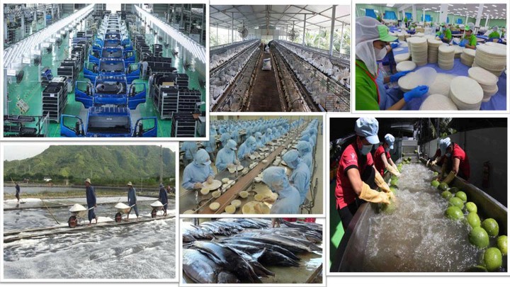 Khơi dậy sức mạnh kinh tế tư nhân trong đổi mới sáng tạo - Ảnh 1.