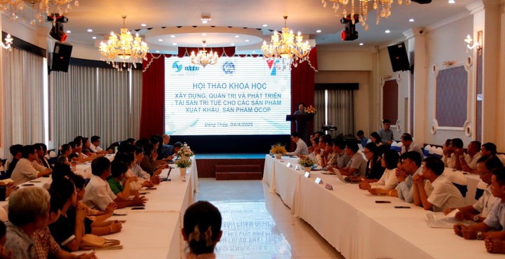 Hội thảo khoa học "Xây dựng, quản trị và phát triển tài sản trí tuệ cho các sản phẩm xuất khẩu, sản phẩm OCOP" - Ảnh 1.