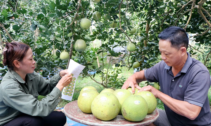 Phát triển toàn diện và đồng bộ khoa học, công nghệ, đổi mới sáng tạo và chuyển đổi số thành nền tảng quan trọng - Ảnh 1.