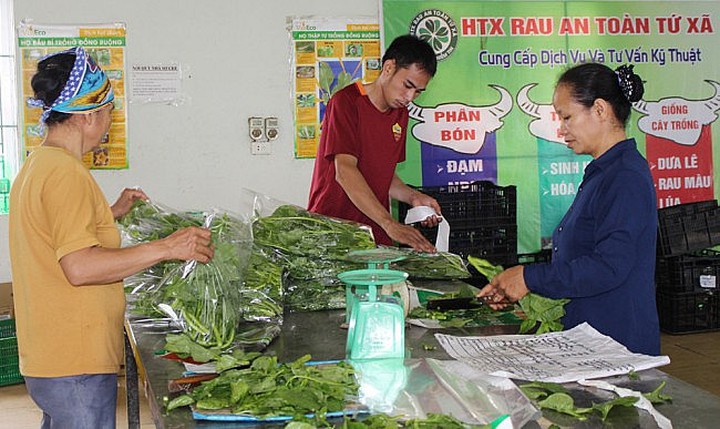 Xã Tề Lỗ tập huấn kỹ năng số và ứng dụng trí tuệ nhân tạo cho cán bộ, công chức, viên chức - Ảnh 1.