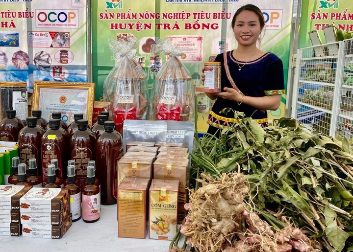Xây dựng nông thôn mới cần chủ động thích ứng với bối cảnh mới - Ảnh 1.