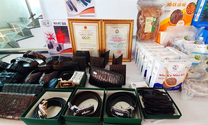 Cà Mau phê duyệt Chương trình hỗ trợ doanh nghiệp nâng cao năng suất, chất lượng giai đoạn 2026–2030- Ảnh 1. Cà Mau phê duyệt Chương trình hỗ trợ doanh nghiệp nâng cao năng suất, chất lượng giai đoạn 2026–2030- Ảnh 1.