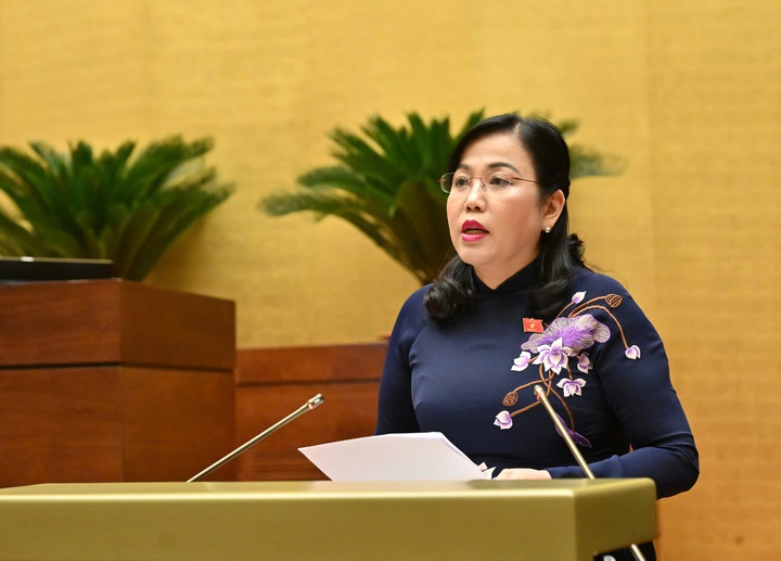 Đạo luật tổng thể cho chuyển đổi số quốc gia - Ảnh 3.