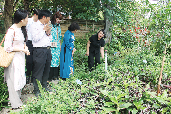 Ninh Bình:Ứng dụng khoa học công nghệ nâng cao giá trị cây dược liệu - Ảnh 1.