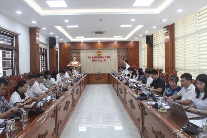 Triển khai Nghị quyết 57-NQ/TW ở Gia Lai: Kết quả bước đầu và những vướng mắc cần tháo gỡ - Ảnh 1.