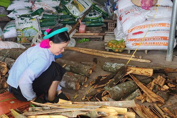 Giảm nghèo đa chiều gắn với chuyển đổi số và tăng trưởng xanh- Ảnh 2. Giảm nghèo đa chiều gắn với chuyển đổi số và tăng trưởng xanh- Ảnh 2.