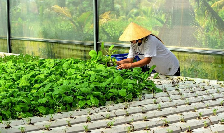 Chuyển đổi số, ứng dụng công nghệ đẩy nhanh giảm nghèo bền vững- Ảnh 1. Chuyển đổi số, ứng dụng công nghệ đẩy nhanh giảm nghèo bền vững- Ảnh 1.