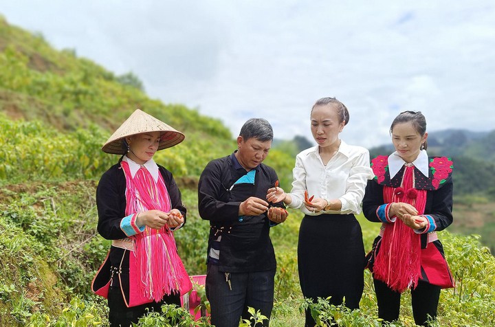 Phát triển sản xuất, cải thiện dinh dưỡng: Một trong những trụ cột trong giảm nghèo đa chiều- Ảnh 1. Phát triển sản xuất, cải thiện dinh dưỡng: Một trong những trụ cột trong giảm nghèo đa chiều- Ảnh 1.