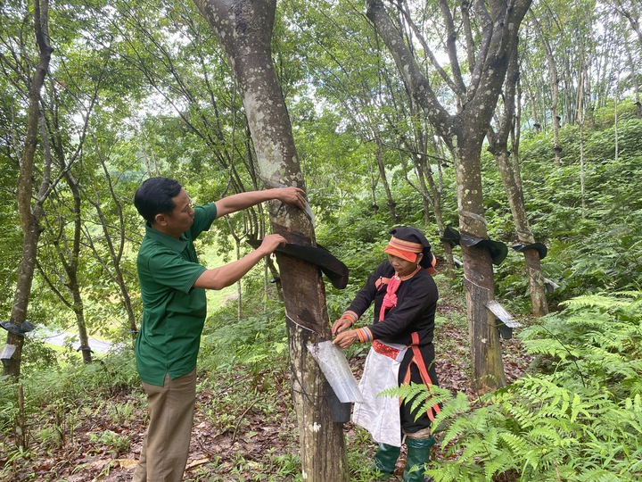 Khổng Lào (Lào Cai) đẩy mạnh ứng dụng khoa học, kỹ thuật, tạo chuyển biến trong giảm nghèo và xây dựng nông thôn mới- Ảnh 2. Khổng Lào (Lào Cai) đẩy mạnh ứng dụng khoa học, kỹ thuật, tạo chuyển biến trong giảm nghèo và xây dựng nông thôn mới- Ảnh 2.